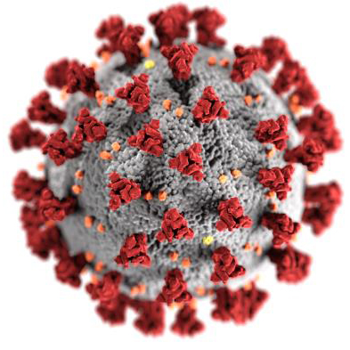 covid 19 virus