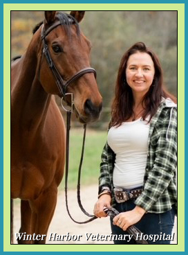 sheri martin technician with cam at winter harbor veterinary hospital