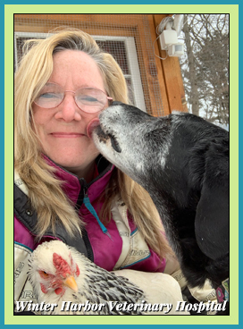 mary ellen smallidge technician with brooke at winter harbor veterinary hospital