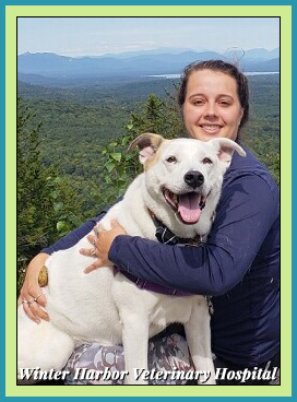 sheri martin technician with cam at winter harbor veterinary hospital